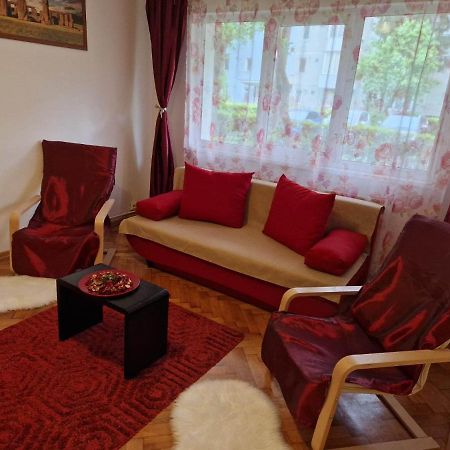 Petuniei Apartment Braşov Extérieur photo