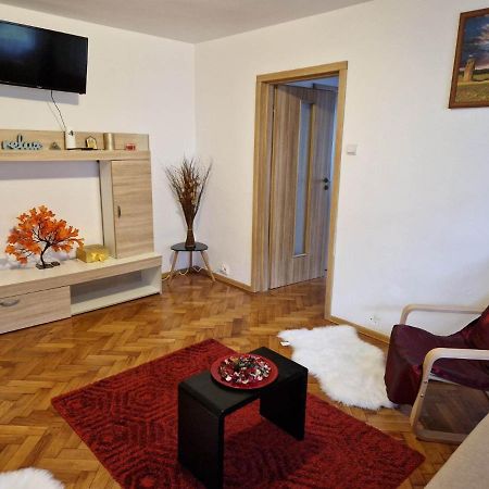 Petuniei Apartment Braşov Extérieur photo