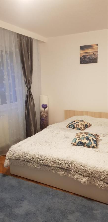Petuniei Apartment Braşov Extérieur photo