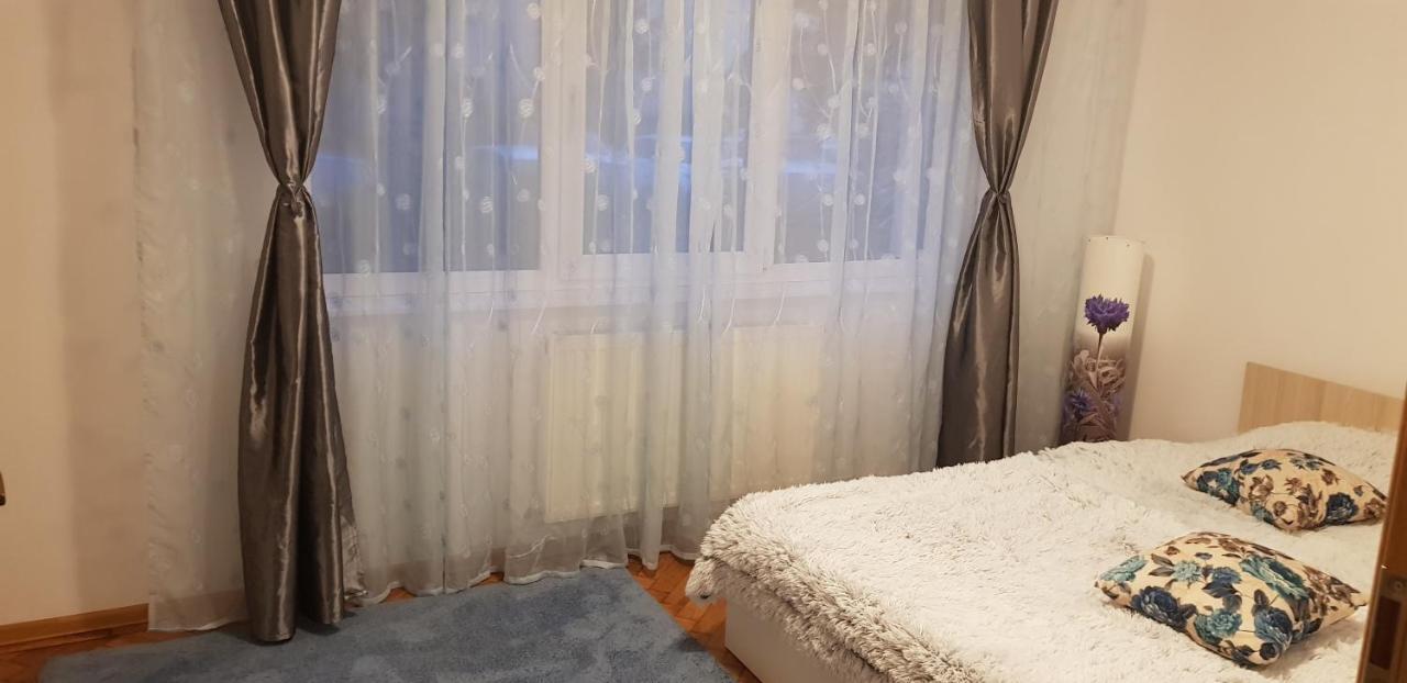 Petuniei Apartment Braşov Extérieur photo