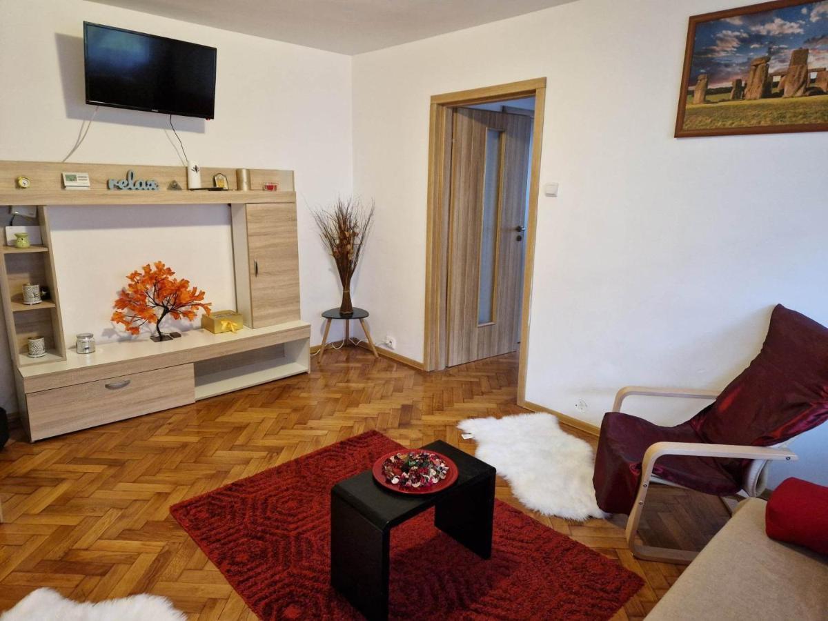 Petuniei Apartment Braşov Extérieur photo