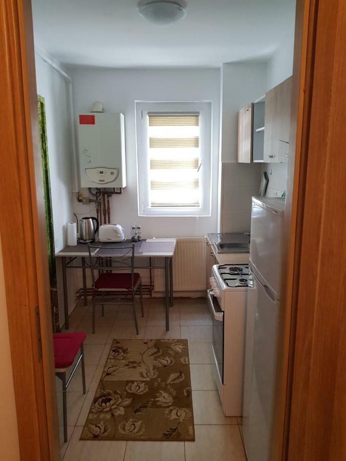 Petuniei Apartment Braşov Extérieur photo