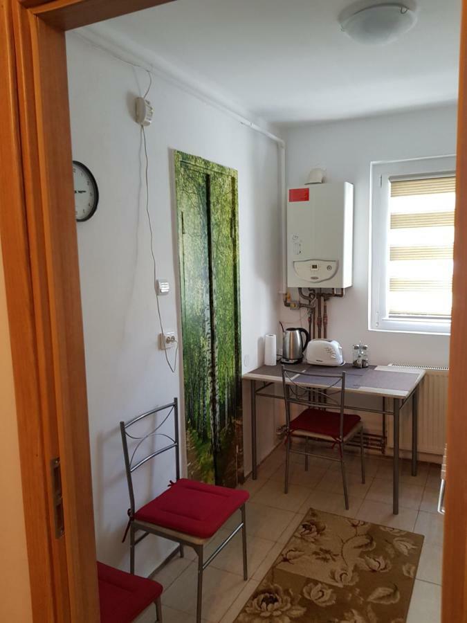 Petuniei Apartment Braşov Extérieur photo