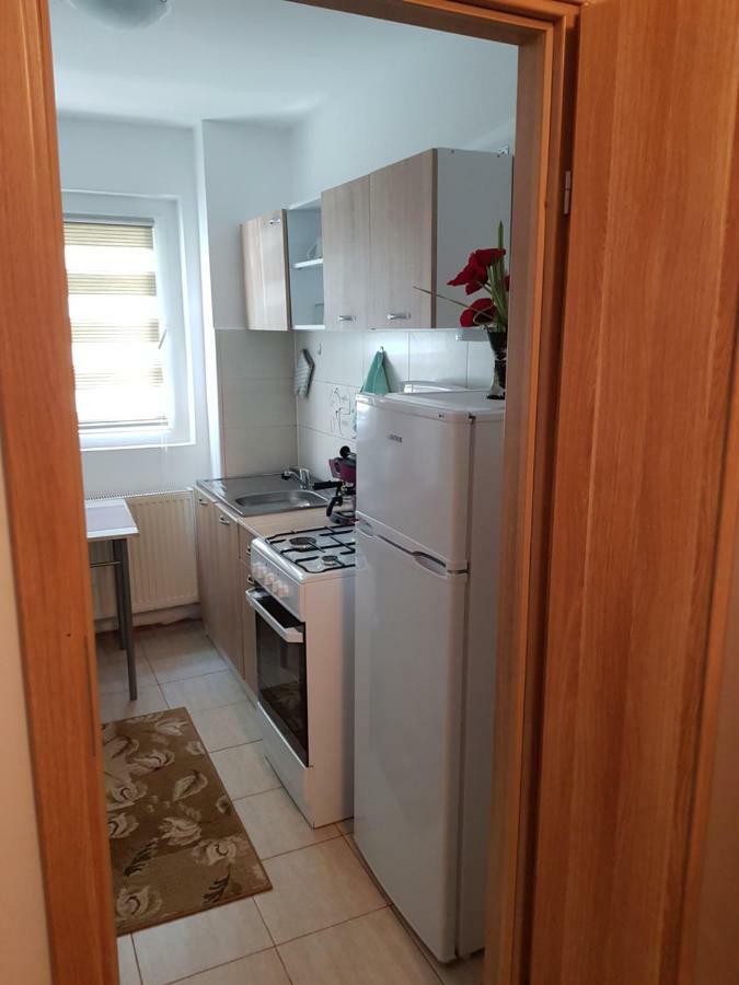 Petuniei Apartment Braşov Extérieur photo