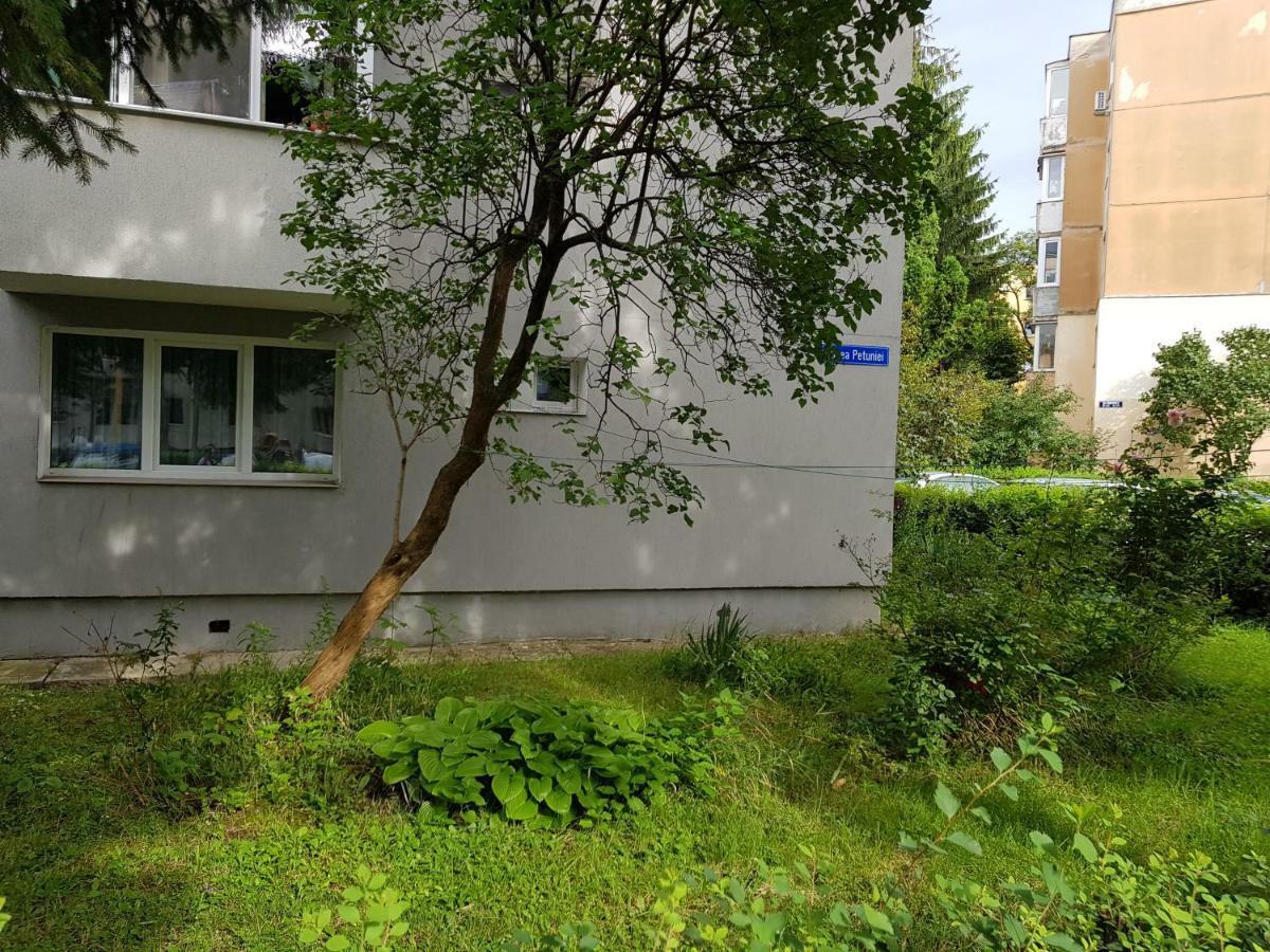 Petuniei Apartment Braşov Extérieur photo