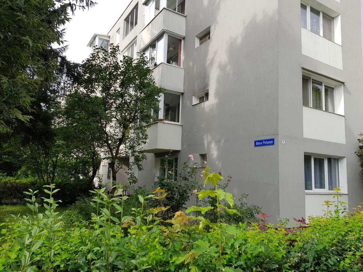 Petuniei Apartment Braşov Extérieur photo